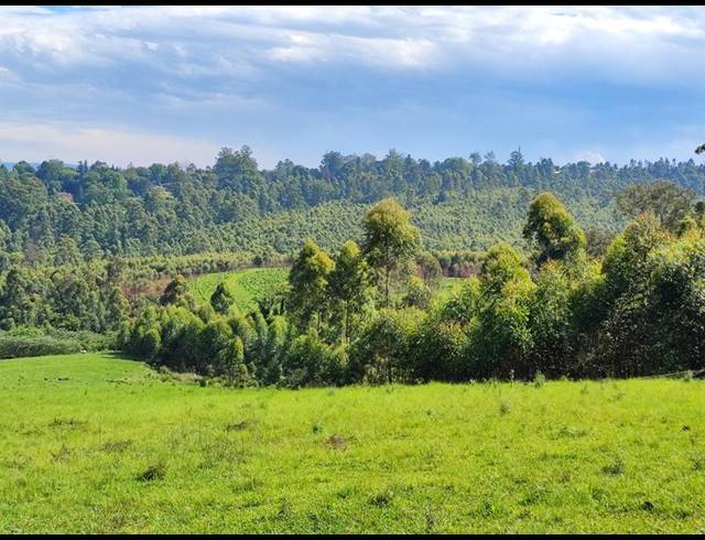 LAND FOR SALE IN WINTERSKLOOF